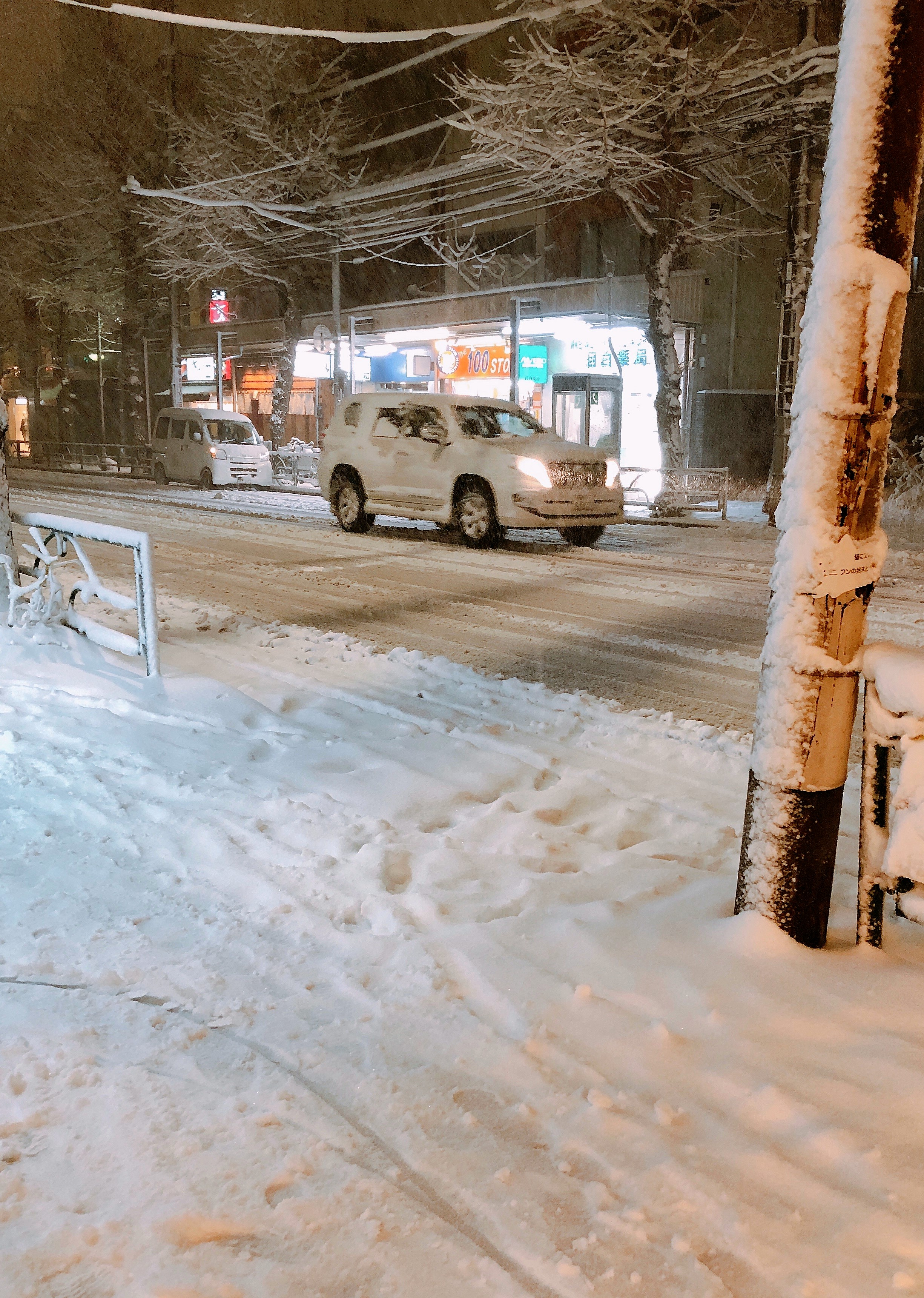 目白でも大雪